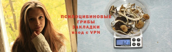 ПСИЛОЦИБИНОВЫЕ ГРИБЫ Богородицк