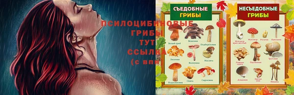 ПСИЛОЦИБИНОВЫЕ ГРИБЫ Богородицк